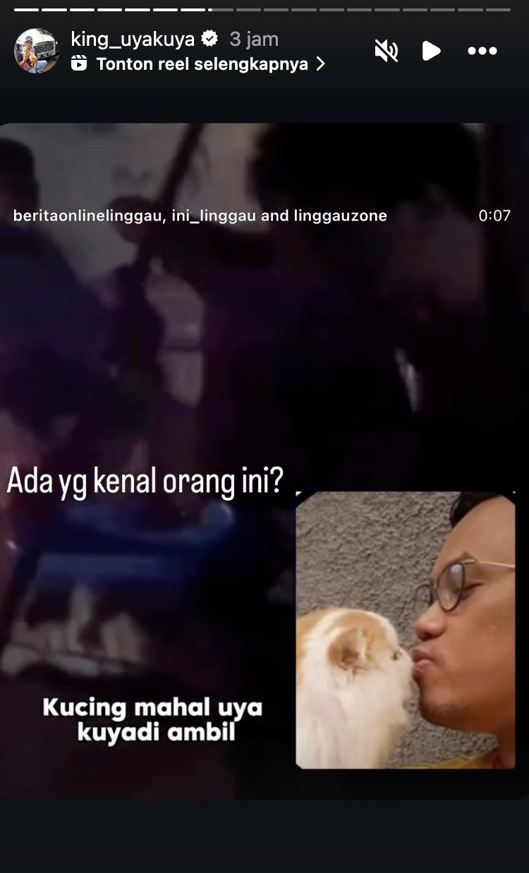 kucing uya 3
